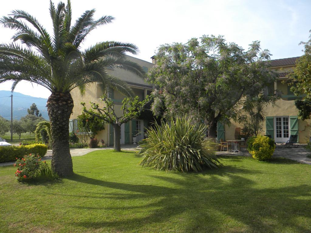 Auberge Les Oliviers لوسيانا المظهر الخارجي الصورة