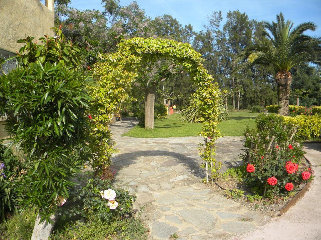 Auberge Les Oliviers لوسيانا المظهر الخارجي الصورة